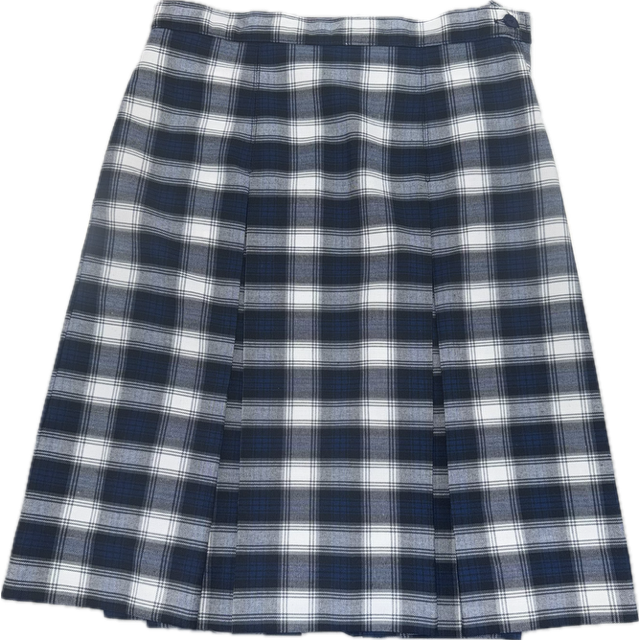 PLAID SKIRT (3464)