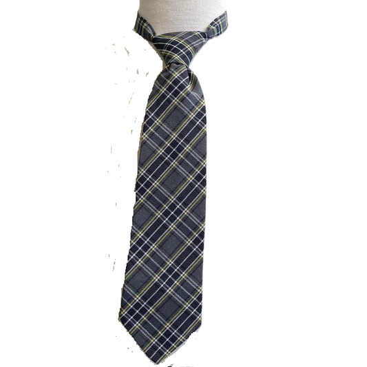 WPAC PLAID TIE (TIE42WPAC)