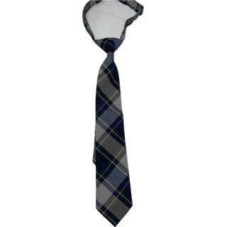 DISCOVERY PLAID TIE (TIE57DISC)