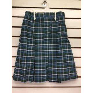 PAN AMERICAN SKIRT (3486)