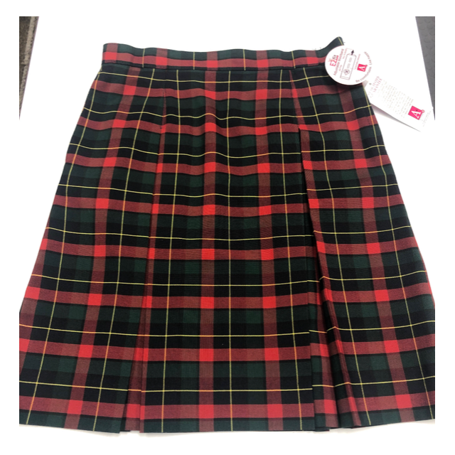 GLA SOUTH WEST SKIRT (3466)